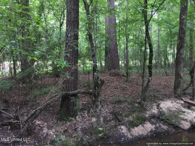 $280,000 | 3001 Mallalieu Drive, Ruth, MS 39662