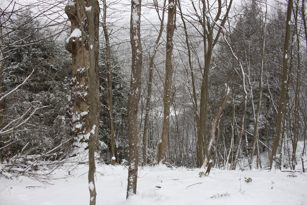 524 Titus Road Kennerdell, PA 16374 - Photo 6 of 8