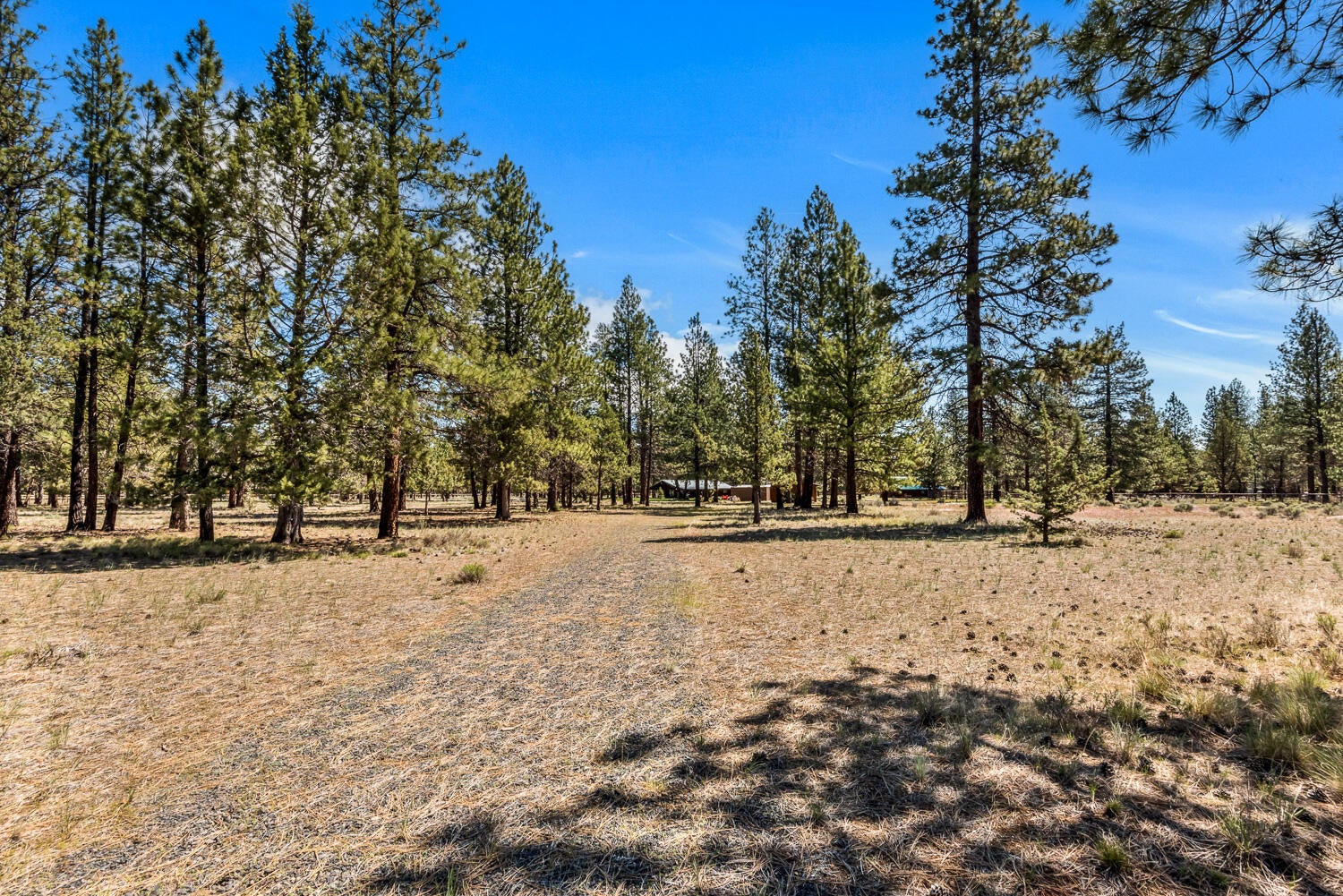 69269 Crooked Horseshoe Road Sisters, OR 97759 - Photo 39 of 43 OReilly_20250514_67_397711_72ppi