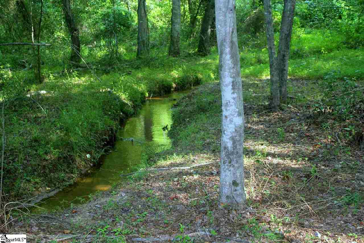 Spencer Creek Road Campobello, SC 29322 - Photo 1 of 1