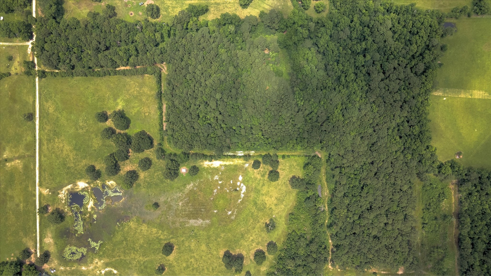 0 Lloyd Fregia Road Hull, TX 77564 - Photo 8 of 25