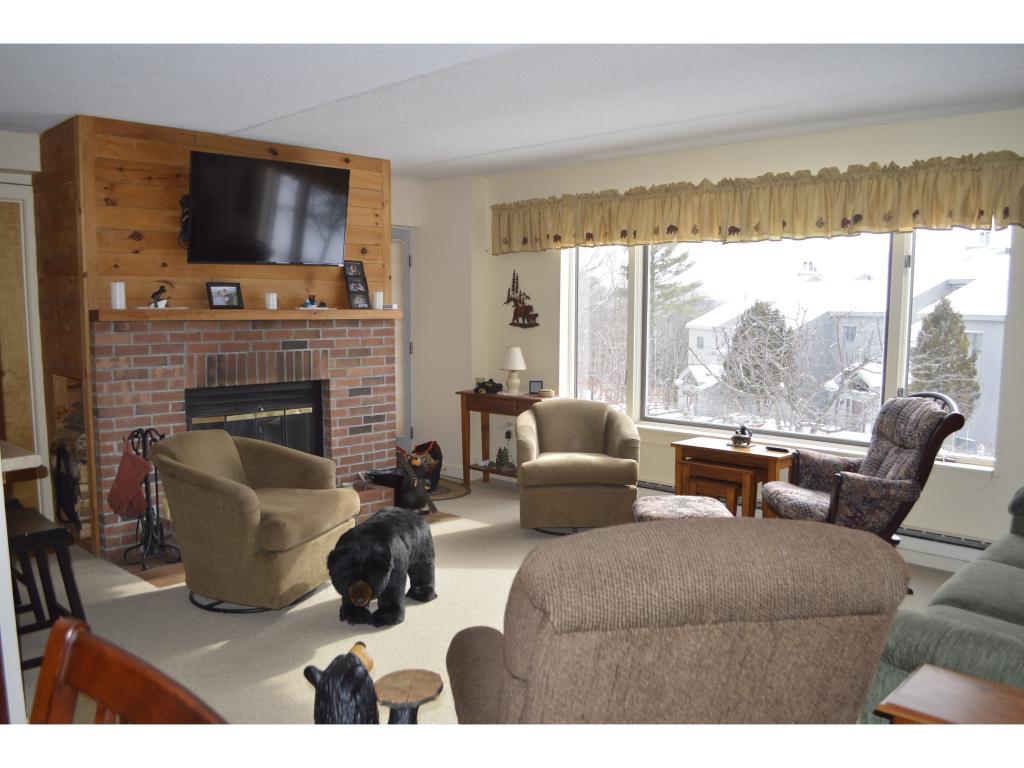 339-a Elmsa Handle Road, Unit ELMS A 1 West Dover, VT 05356 - Photo 3 of 14 Gallery Image 3