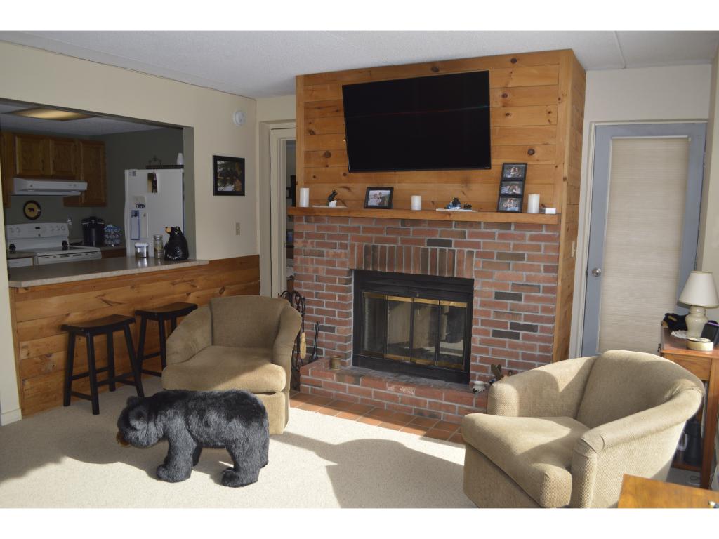 339-a Elmsa Handle Road, Unit ELMS A 1 West Dover, VT 05356 - Photo 4 of 14 Gallery Image 4
