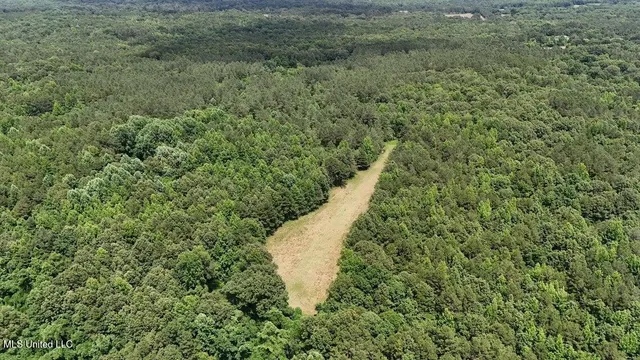 $129,900 | Hardaway Chapel Road, Michigan City, MS 38647