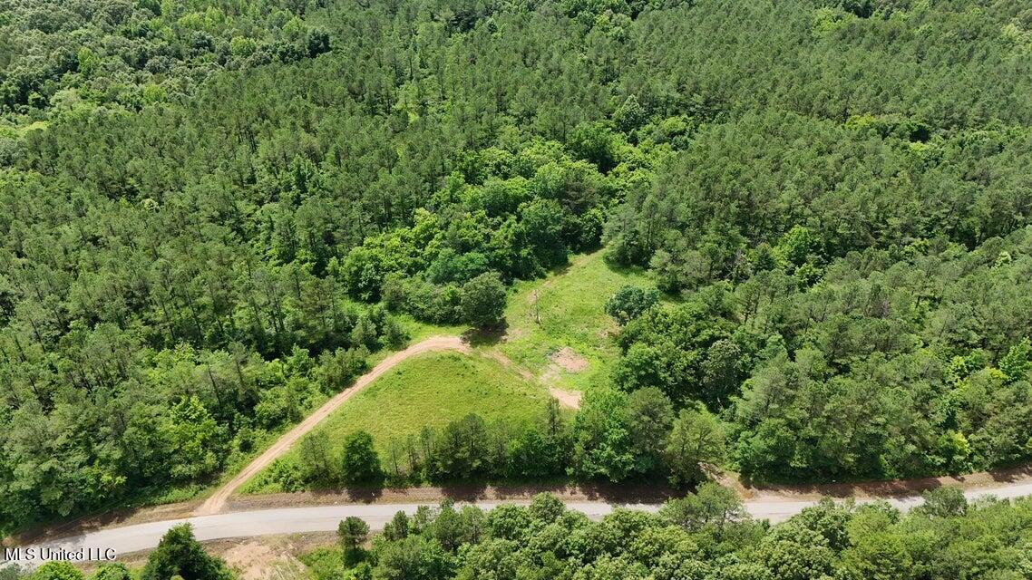 Hardaway Chapel Road Michigan City, MS 38647 - Photo 5 of 9 5
