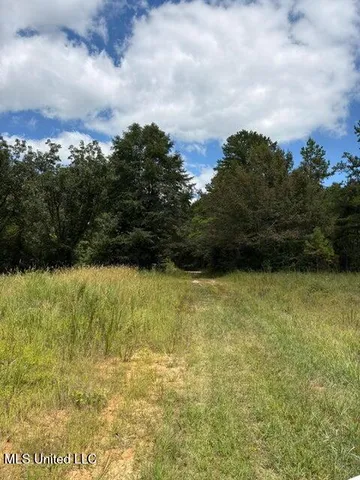 $129,900 | Hardaway Chapel Road, Michigan City, MS 38647