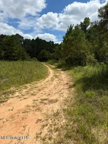 $129,900 | Hardaway Chapel Road, Michigan City, MS 38647