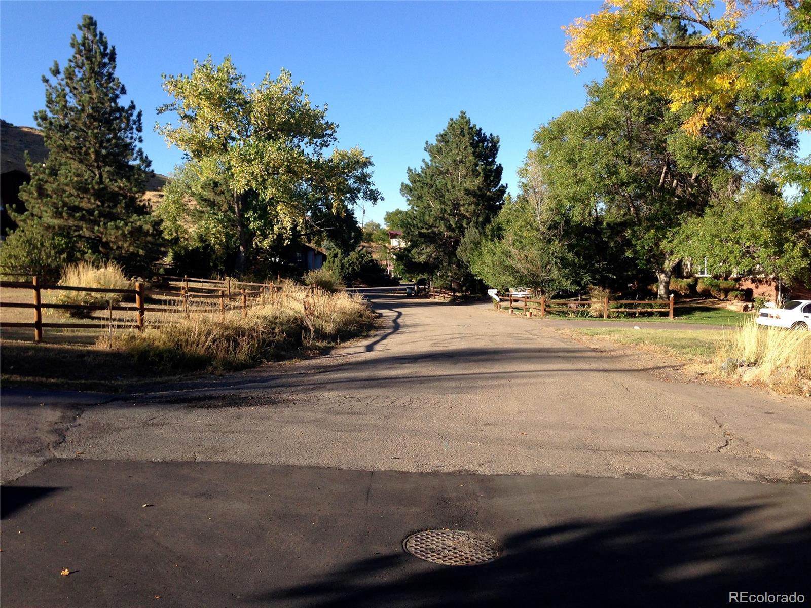 a view of a yard with large trees