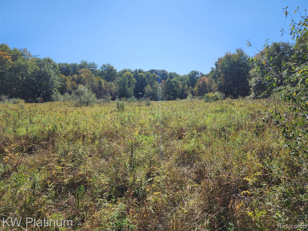 8060 Brockway Road Melvin, MI 48454 - Photo 33 of 39