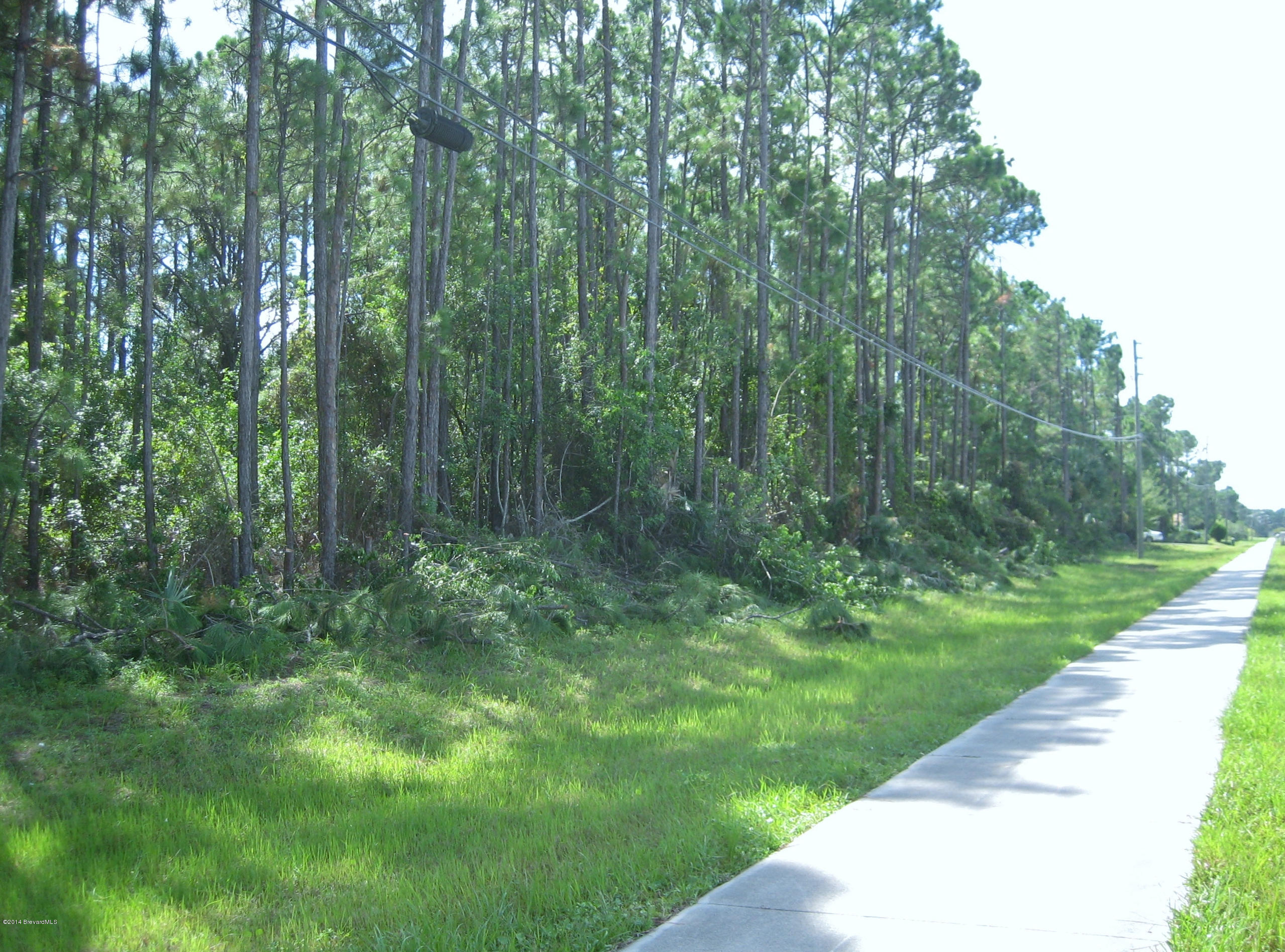 931 Degroodt Road Southwest Palm Bay, FL 32908 - Photo 2 of 3 IMG_5538
