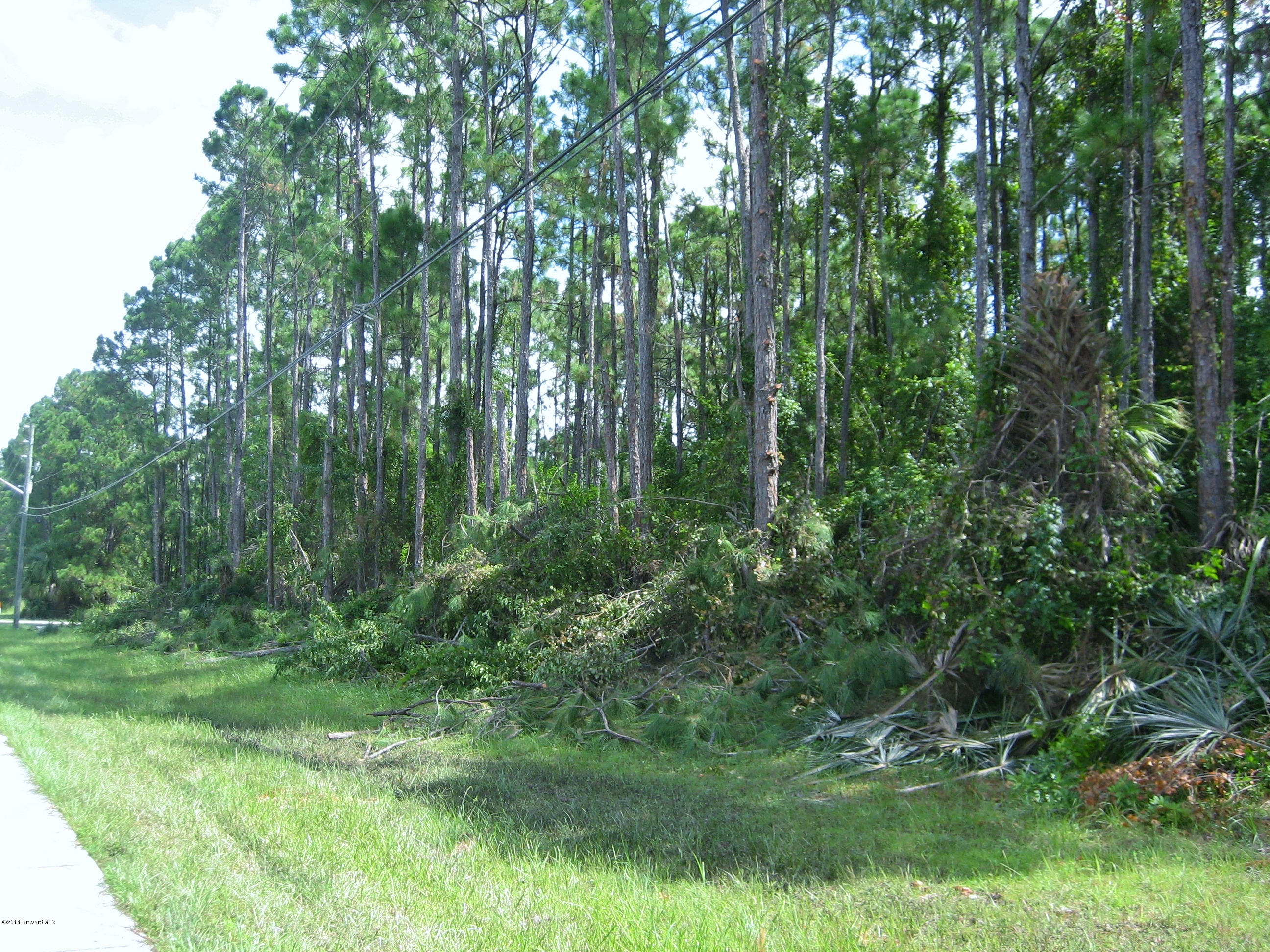 931 Degroodt Road Southwest Palm Bay, FL 32908 - Photo 3 of 3 IMG_5543
