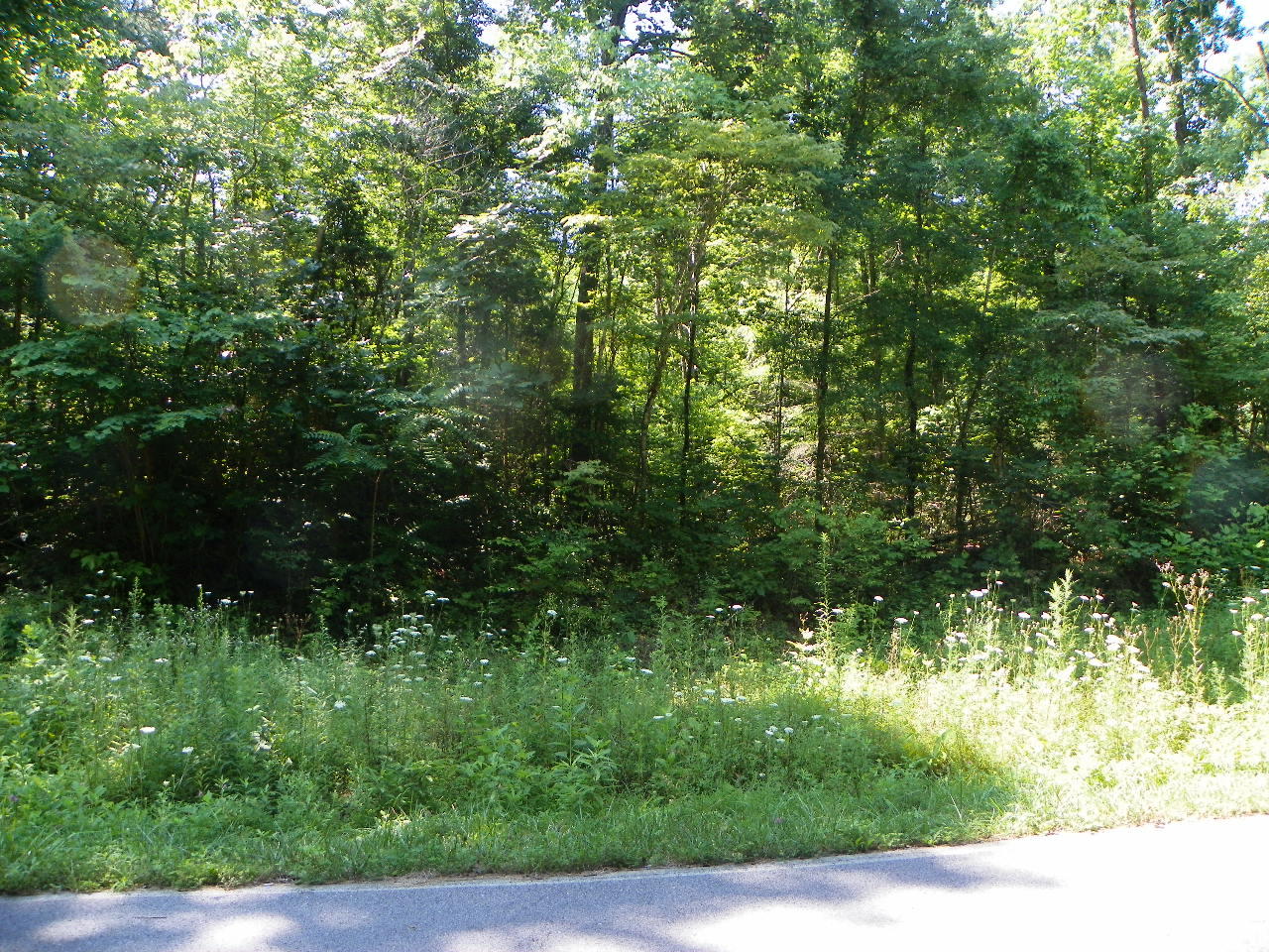Derrick Road Sevierville, TN 37876 - Photo 3 of 9 101_5929