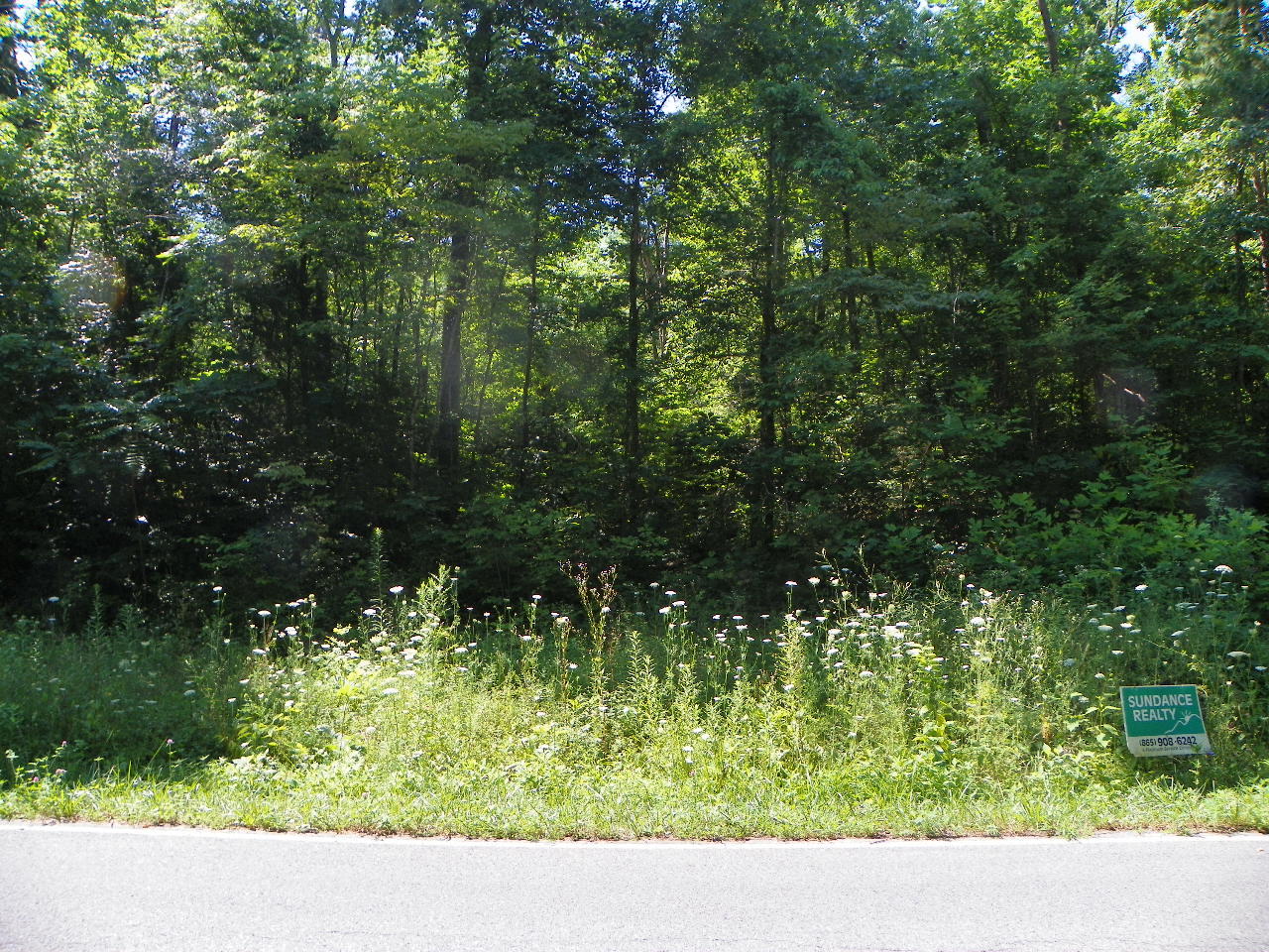 Derrick Road Sevierville, TN 37876 - Photo 4 of 9 101_5932