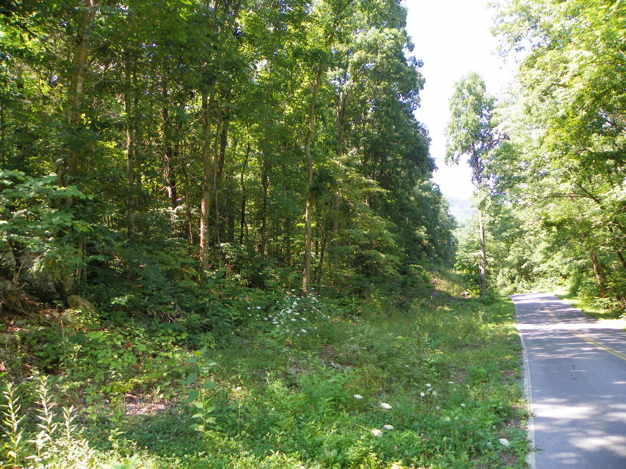 Derrick Road Sevierville, TN 37876 - Photo 6 of 9 101_5934