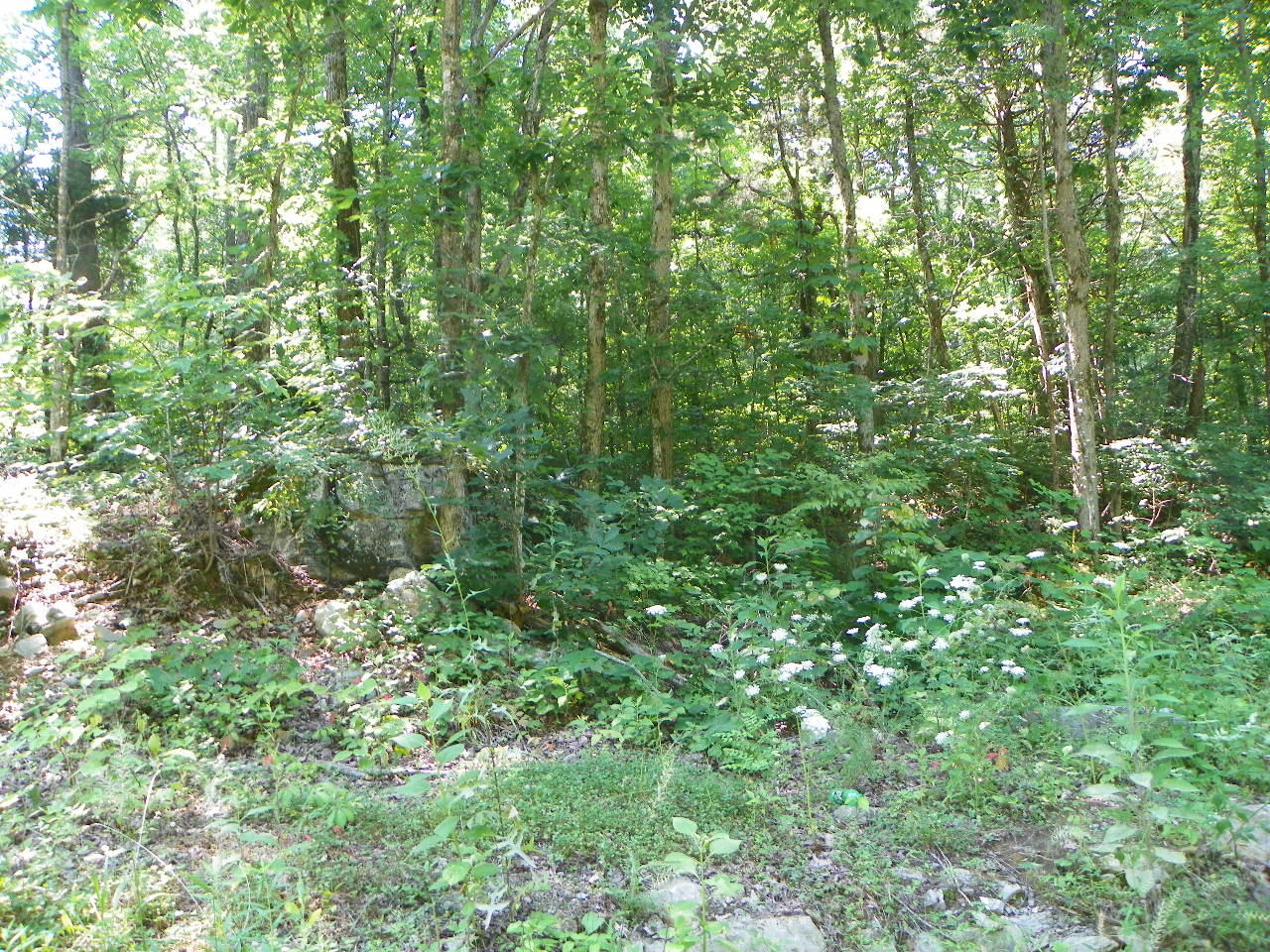 Derrick Road Sevierville, TN 37876 - Photo 7 of 9 101_5935