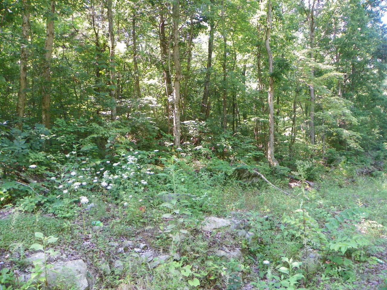 Derrick Road Sevierville, TN 37876 - Photo 9 of 9 101_5936