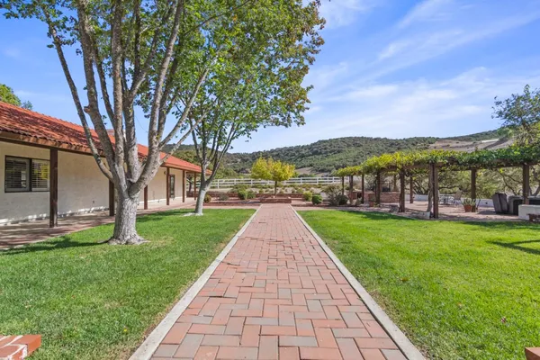 a view of park with large tree