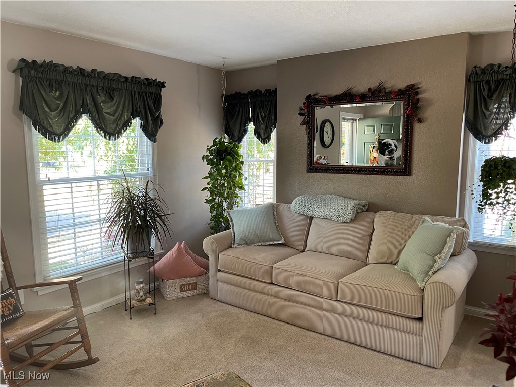 484 Reed Avenue Akron, OH 44301 - Photo 2 of 34 Gallery Image 2