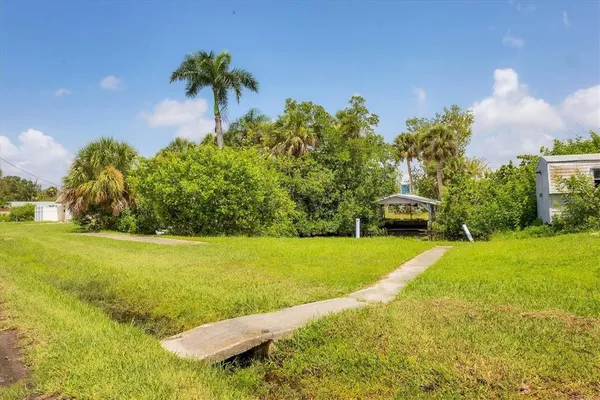 a view of a big yard with a large trees