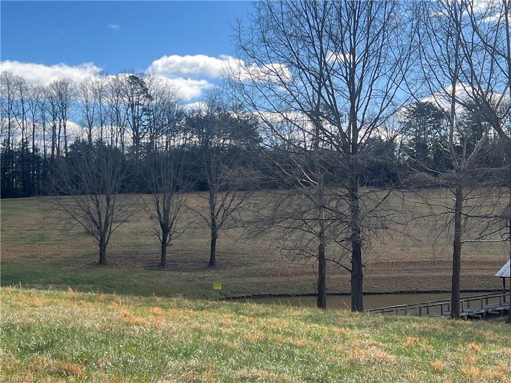 Tbd George Chandler Road Mount Airy, NC 27030 - Photo 11 of 25