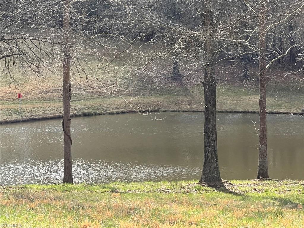 Tbd George Chandler Road Mount Airy, NC 27030 - Photo 13 of 25