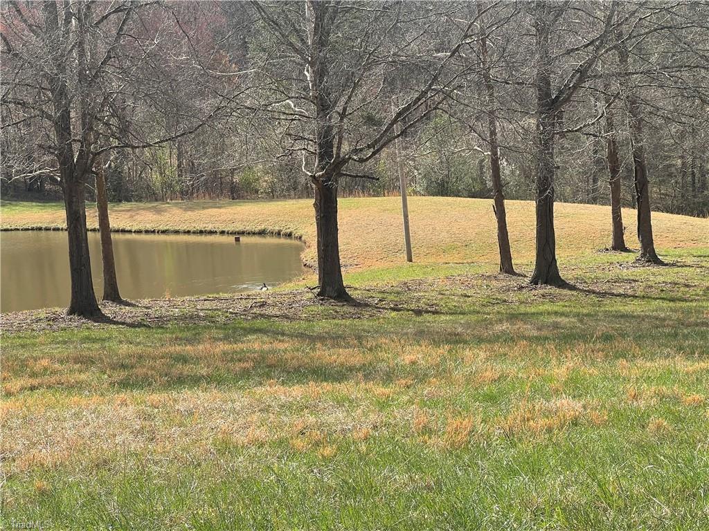 Tbd George Chandler Road Mount Airy, NC 27030 - Photo 16 of 25
