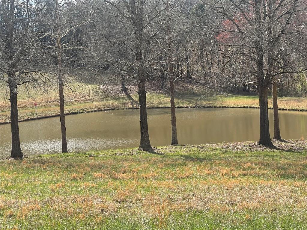 Tbd George Chandler Road Mount Airy, NC 27030 - Photo 17 of 25