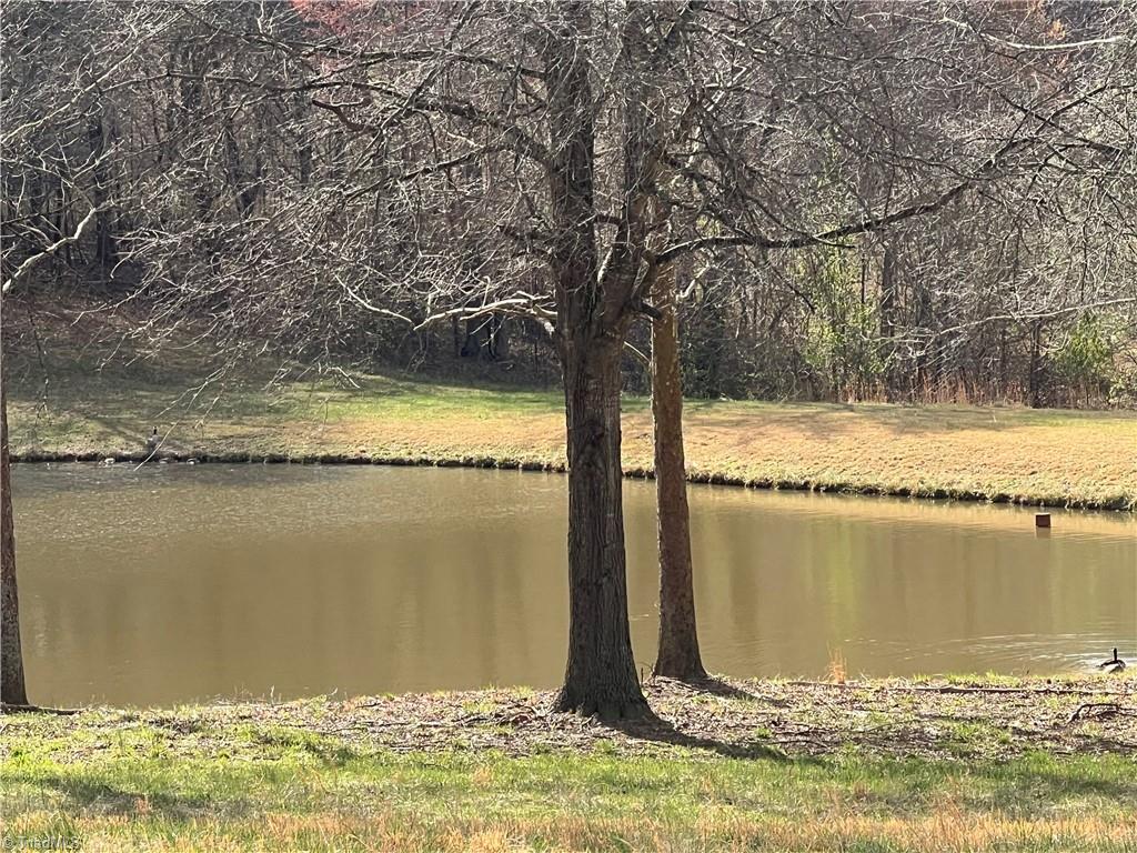 Tbd George Chandler Road Mount Airy, NC 27030 - Photo 18 of 25