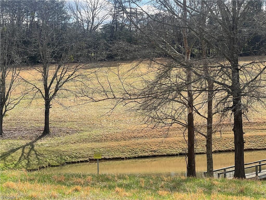 Tbd George Chandler Road Mount Airy, NC 27030 - Photo 21 of 25