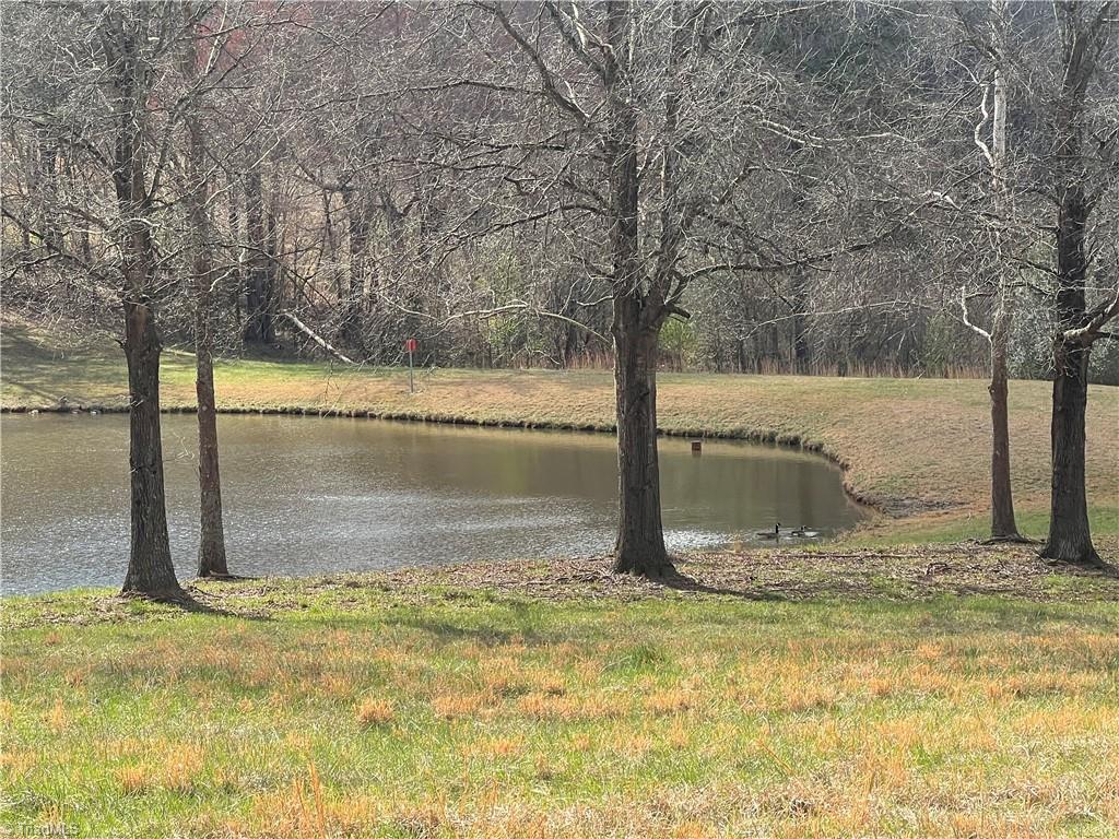Tbd George Chandler Road Mount Airy, NC 27030 - Photo 23 of 25