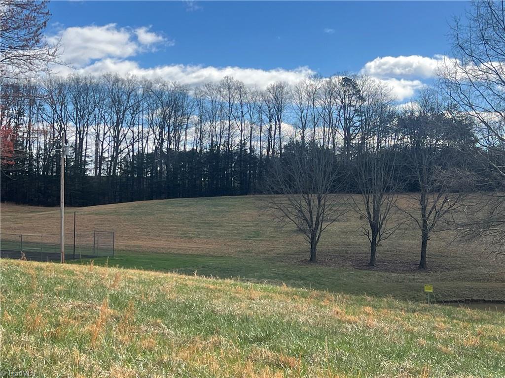 Tbd George Chandler Road Mount Airy, NC 27030 - Photo 10 of 25