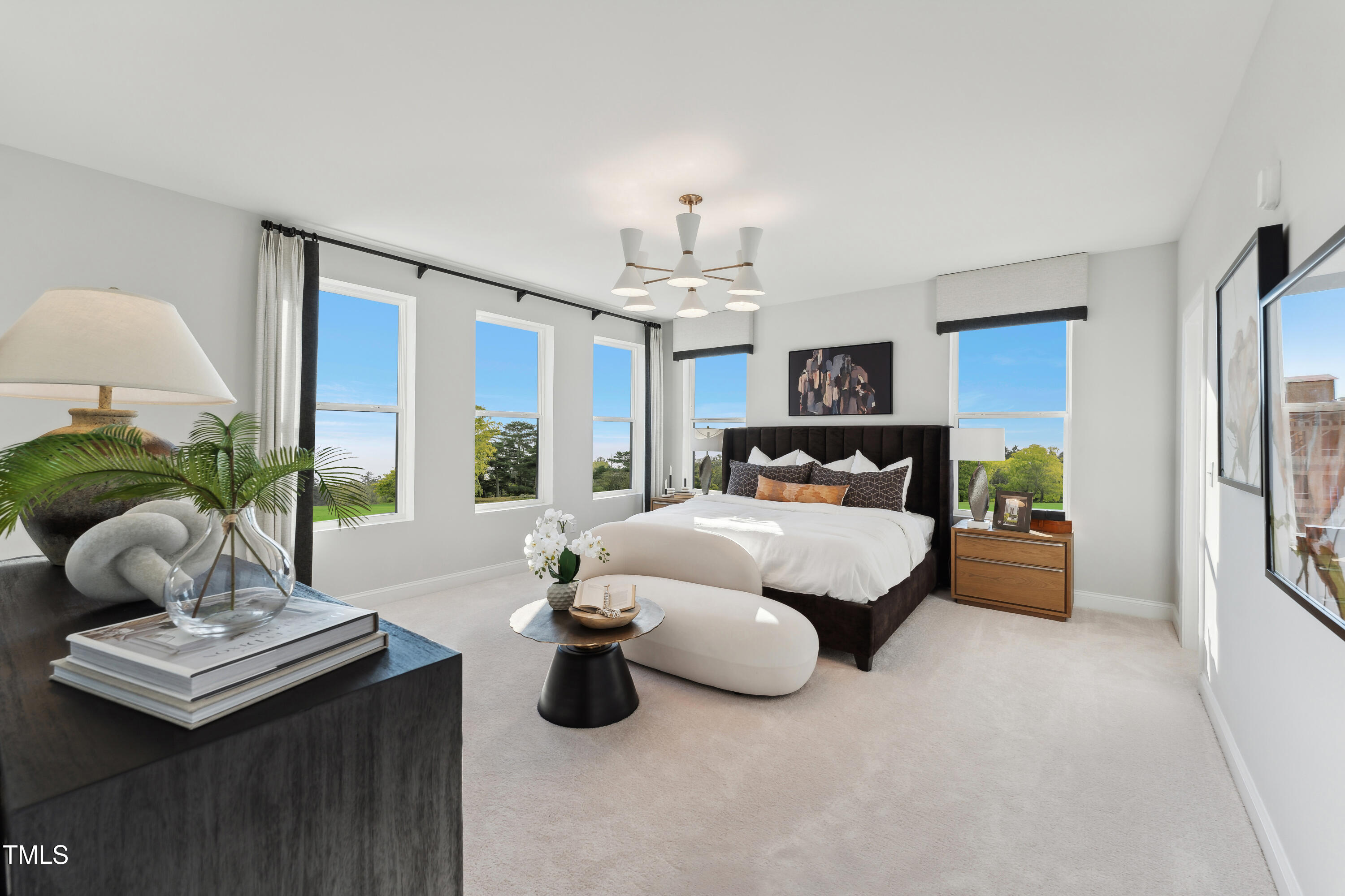 1250 Coach Sta Alley, Unit 201 Raleigh, NC 27601 - Photo 7 of 31 16-print-DSC05777