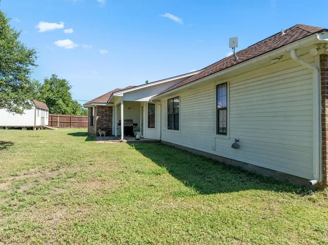 a view of a backyard with plants and large tree