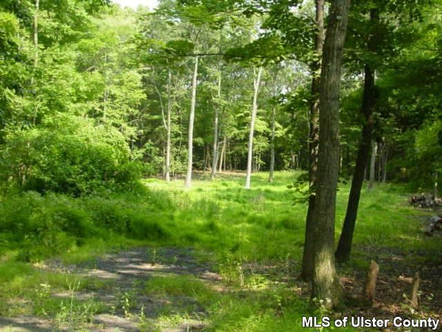 Tbd Mill Road Accord, NY 12404 - Photo 1 of 1 Photo 1