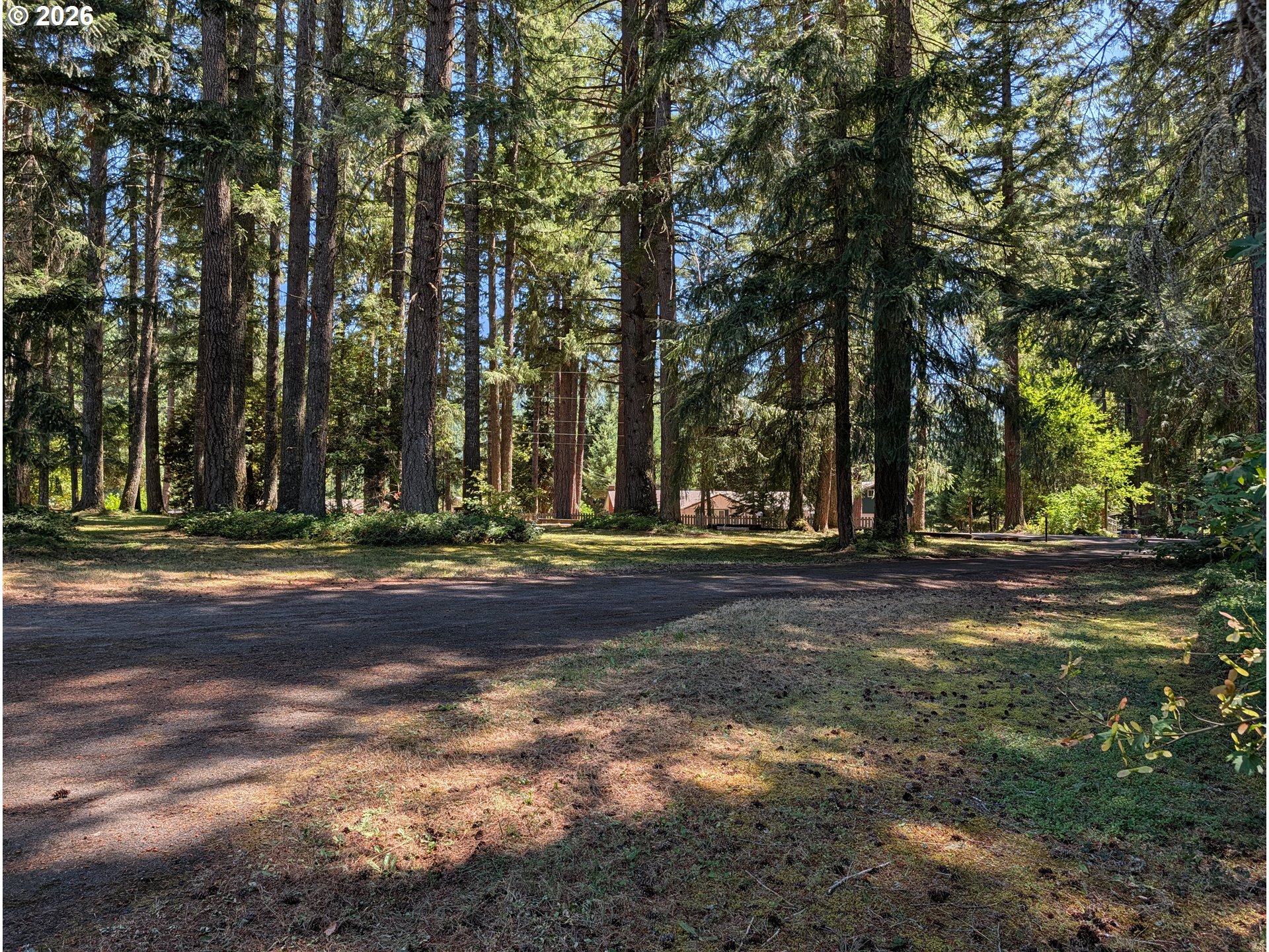 49241 Mountain View Road Oakridge, OR 97463 - Photo 6 of 46 Gallery Image 6