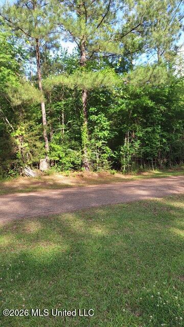 0 Smith Lane Wesson, MS 39191 - Photo 1 of 9 image0