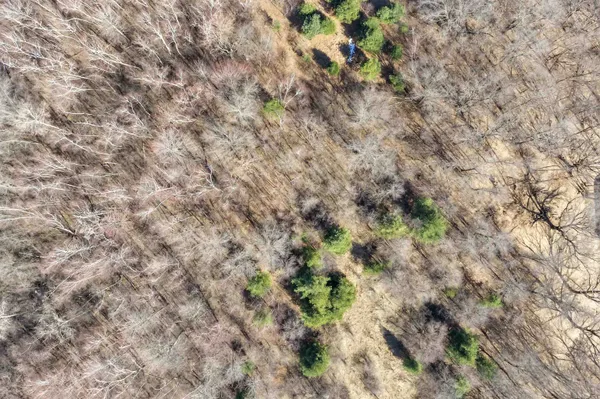 $175,000 | E450 Grenlie Road, Waupaca, WI 54981