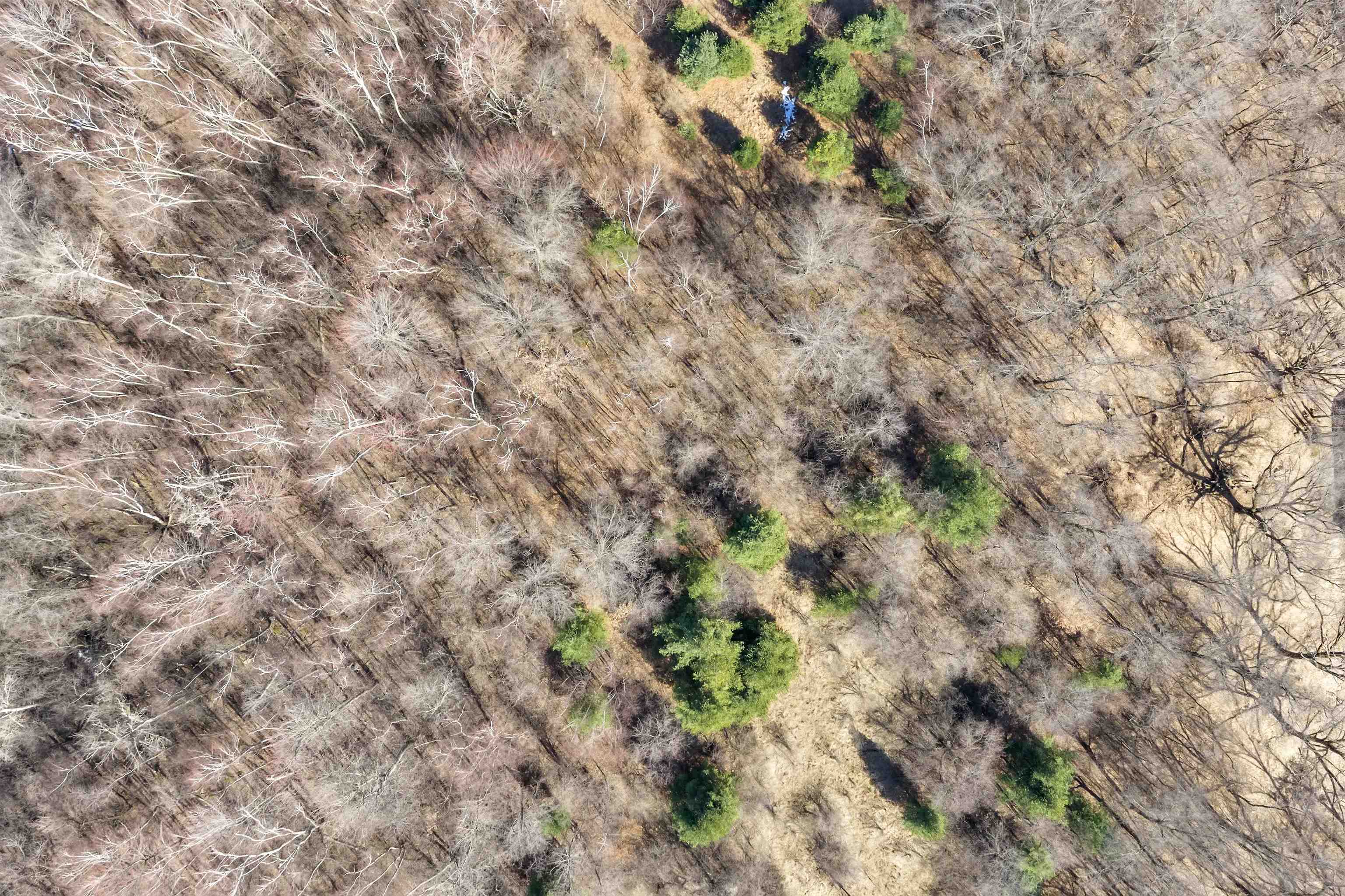 E450 Grenlie Road Waupaca, WI 54981 - Photo 22 of 26