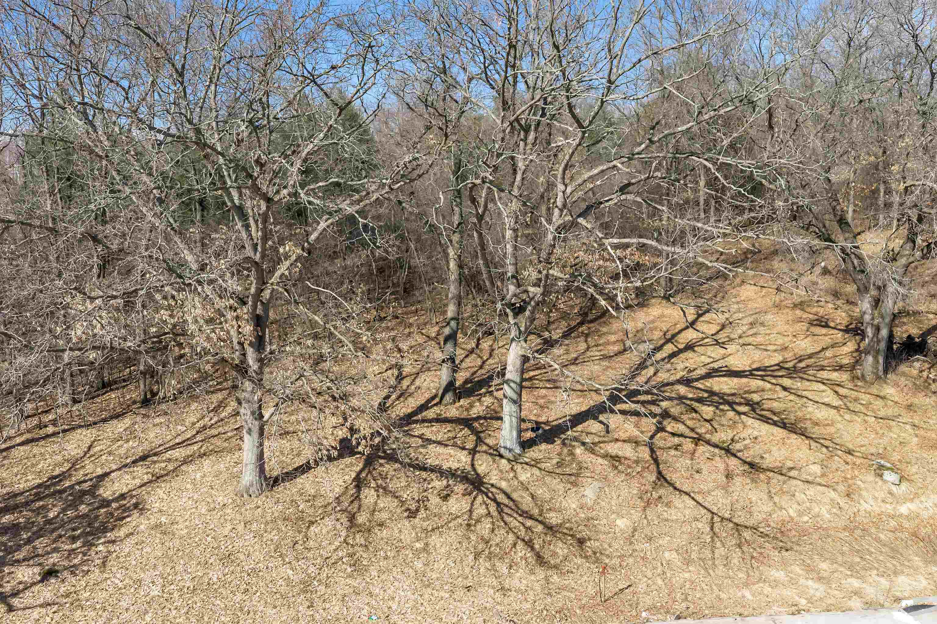 E450 Grenlie Road Waupaca, WI 54981 - Photo 25 of 26