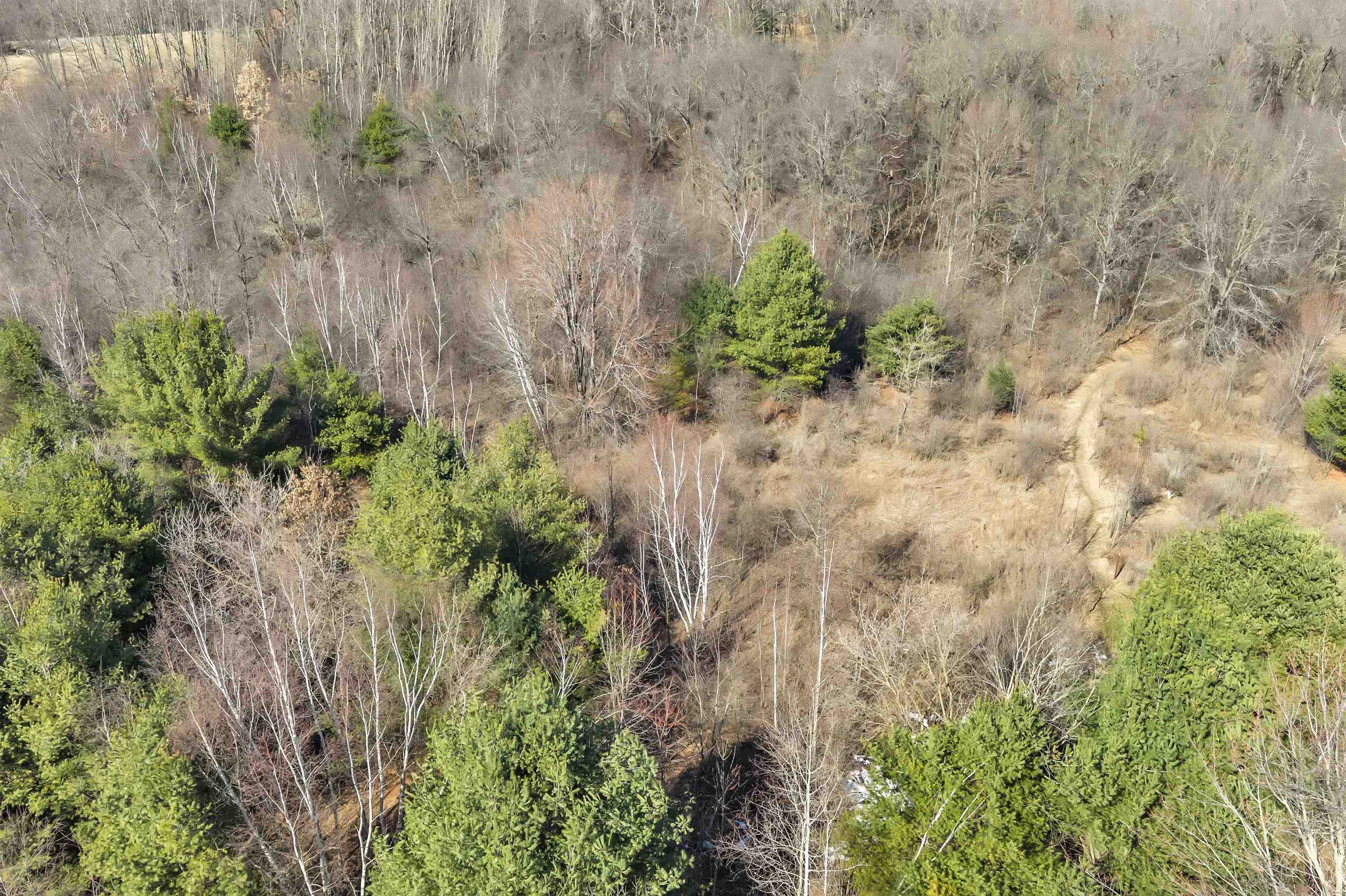 E450 Grenlie Road Waupaca, WI 54981 - Photo 6 of 26