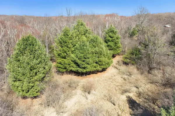 $175,000 | E450 Grenlie Road, Waupaca, WI 54981