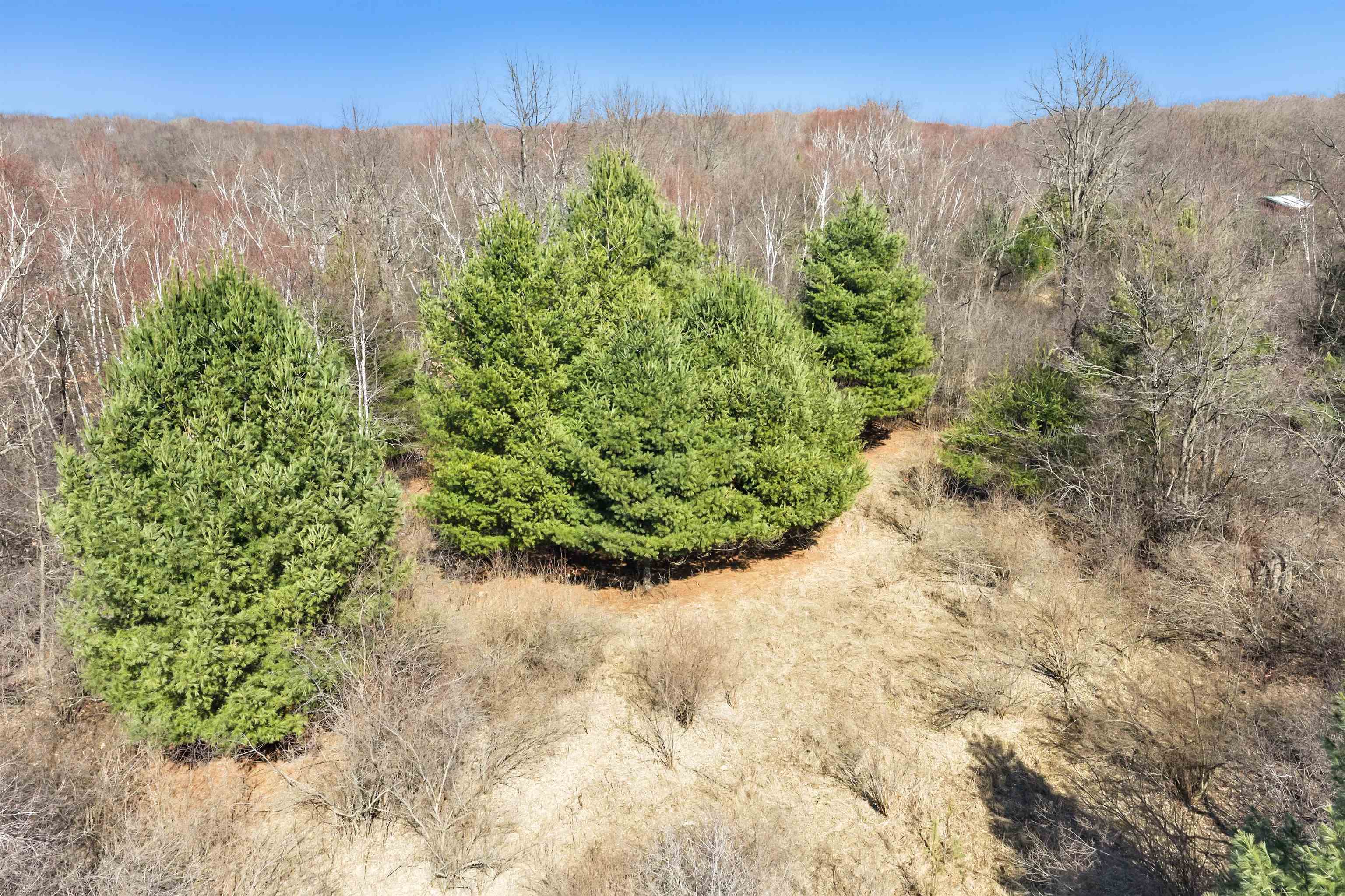 E450 Grenlie Road Waupaca, WI 54981 - Photo 8 of 26