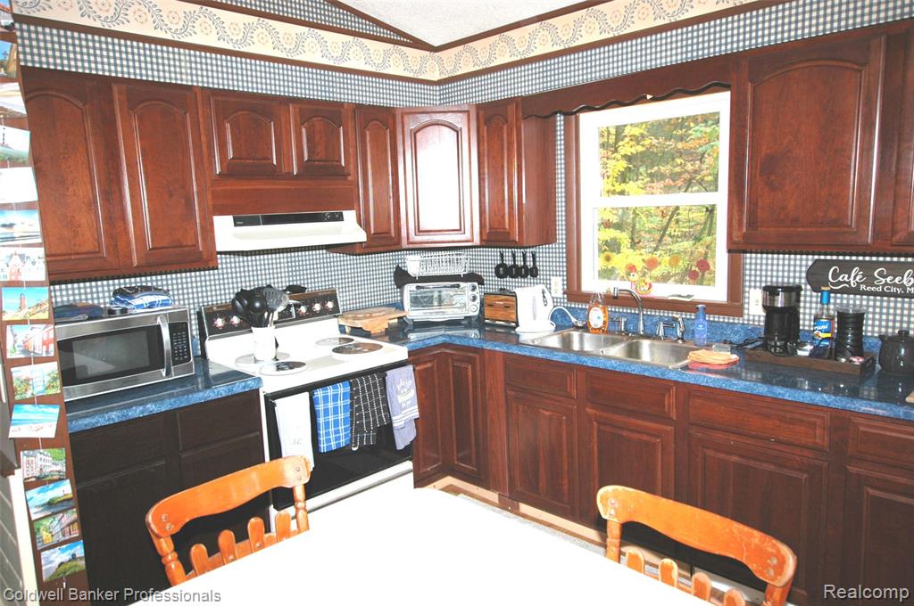 10120 Alpine Drive Reed City, MI 49677 - Photo 4 of 17