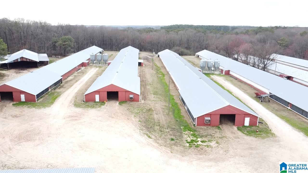 10171 County Road 87 Roanoke, AL 36274 - Photo 38 of 42