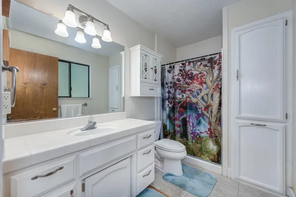 a view of a garden with wooden deck