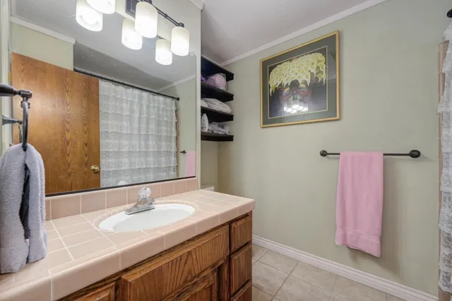 a view of a backyard with plants and large tree