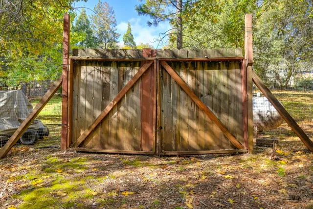 a view of a park with large trees