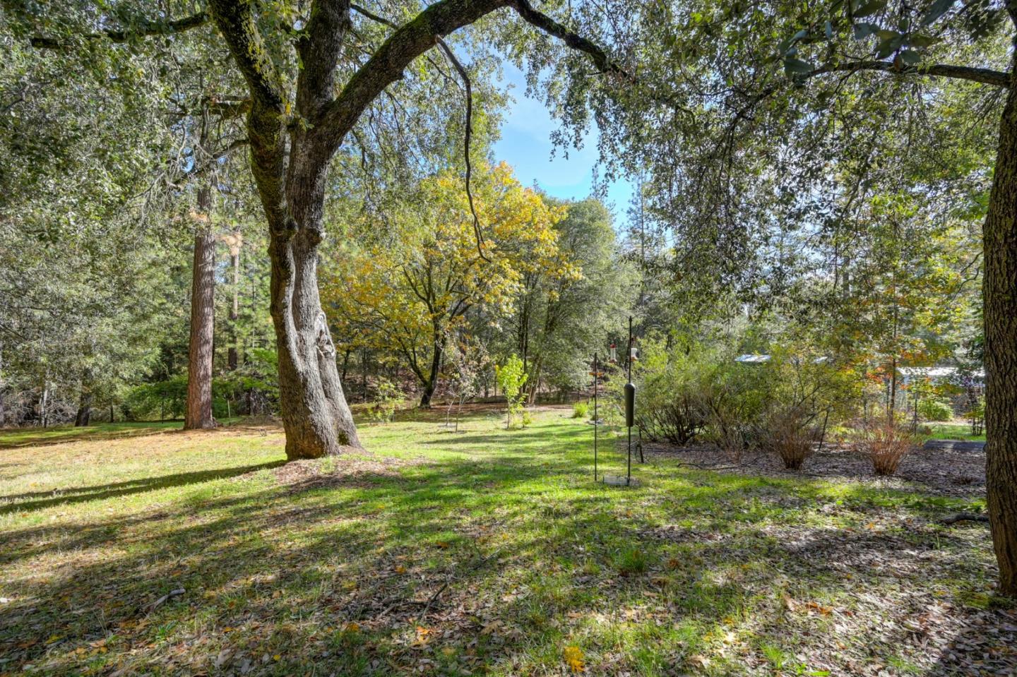 21335 Robin Lane Pine Grove, CA 95665 - Photo 52 of 66