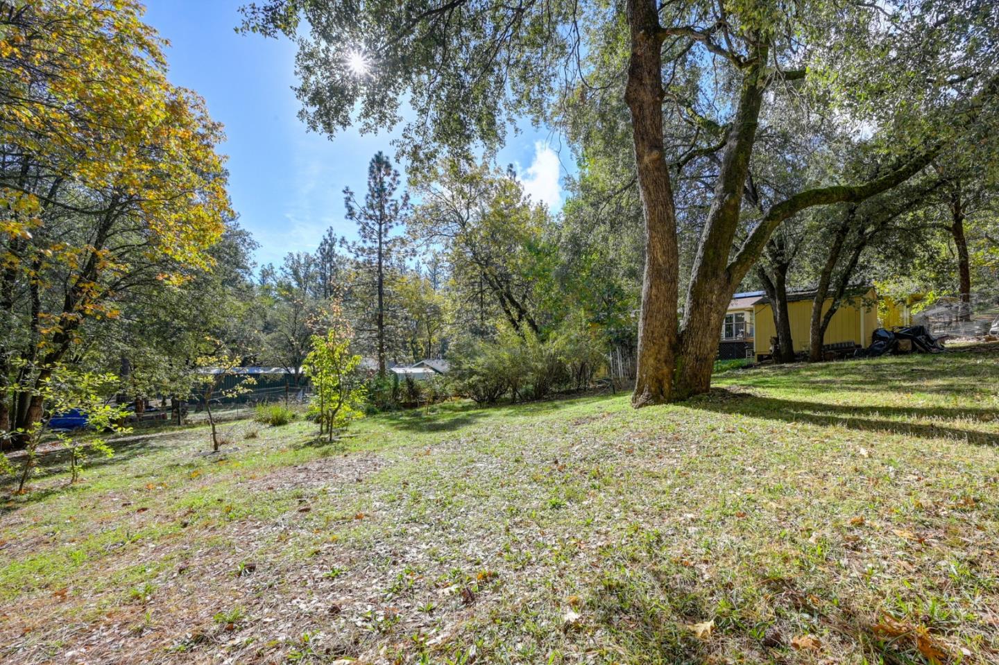 21335 Robin Lane Pine Grove, CA 95665 - Photo 53 of 66