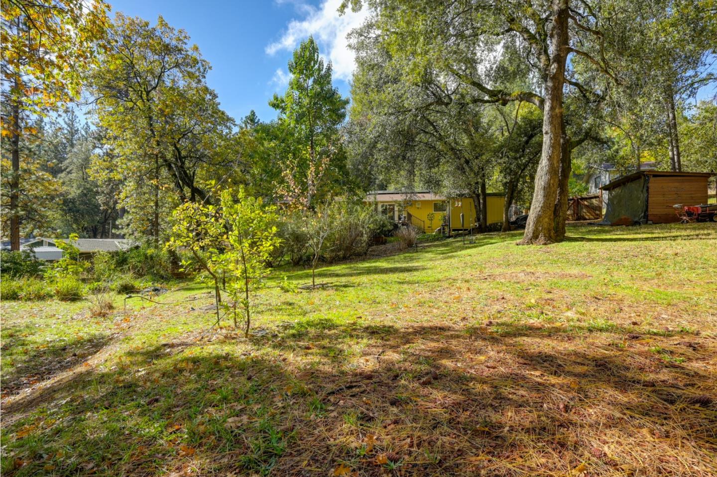 21335 Robin Lane Pine Grove, CA 95665 - Photo 54 of 66